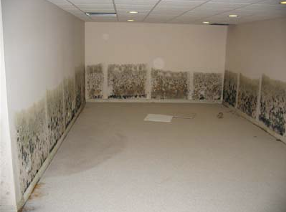 Are You Living in a Healthy Home? \u2013 Feng Shui Services